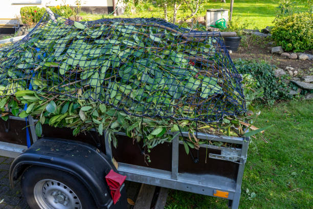 Best Yard Waste Removal  in East Bangor, PA